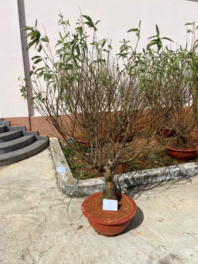 received_882994345770086.