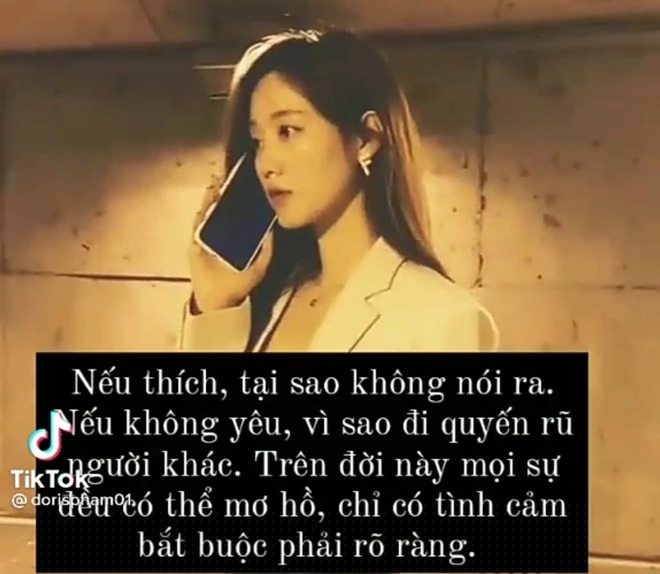 (Ảnh: Ảnh chụp màn hình).