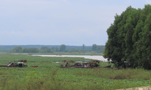 Bình Thuận: “Phát sinh thêm các đối tượng mới, lợi dụng chính sách để khai thác khoáng sản trái phép”