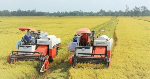 Tăng trưởng nông nghiệp có xu hướng chậm, chưa bền vững