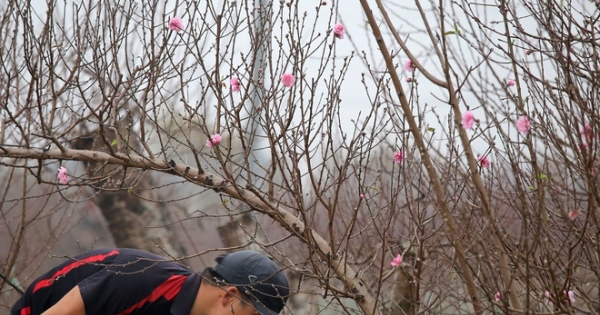 Chốt đề xuất lịch nghỉ Tết Nguyên đán Nhâm Dần năm 2022