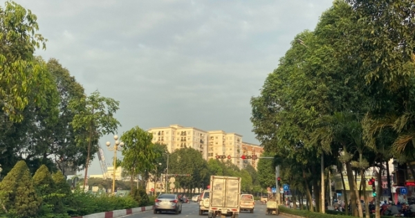 Đồng Nai: Đặt tiêu chí cây xanh lên hàng đầu trong quy hoạch phân khu C4