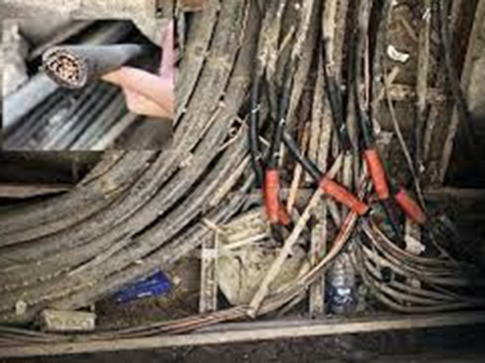 cat-trom-cap-211220_qlta