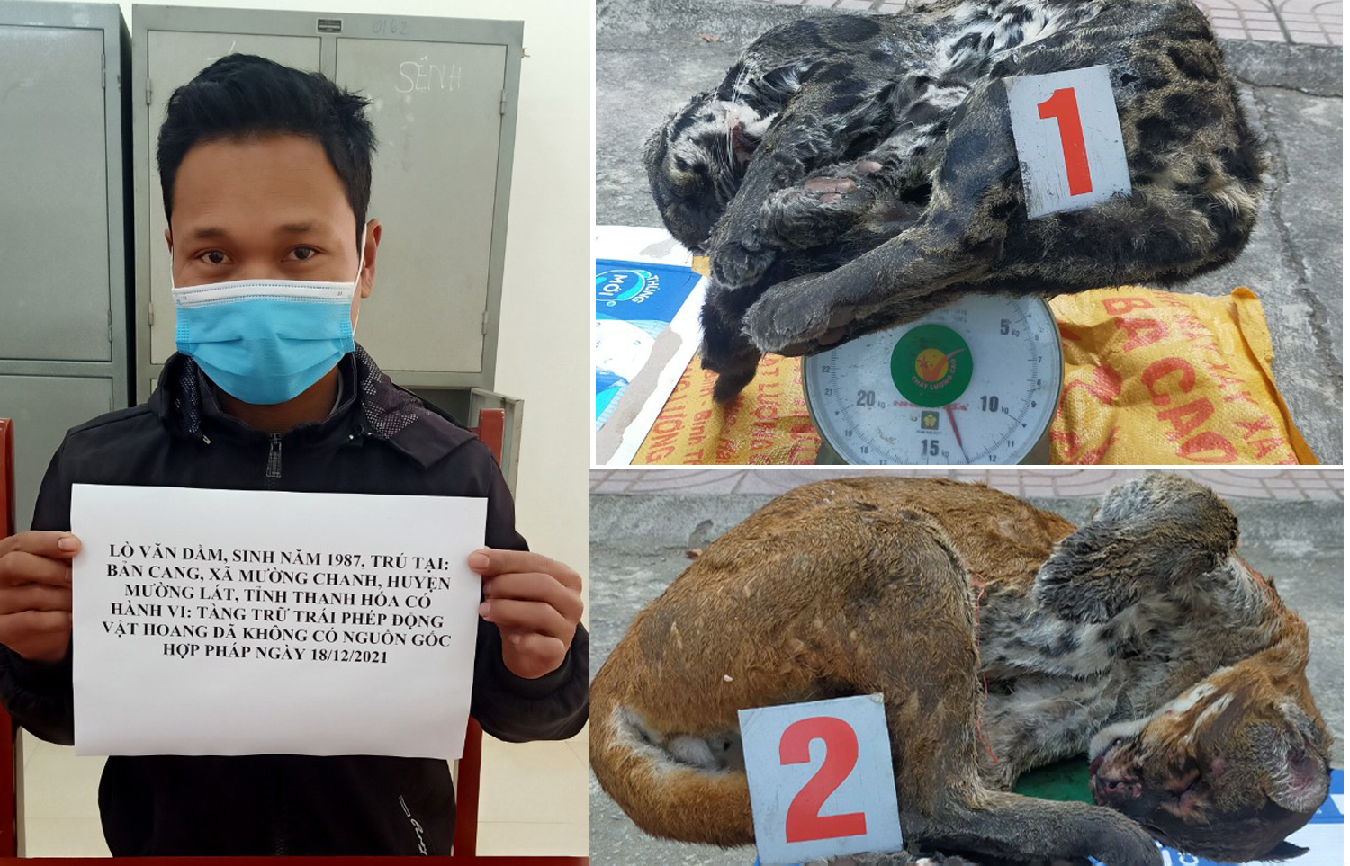 Đối tượng bị bắt giữ