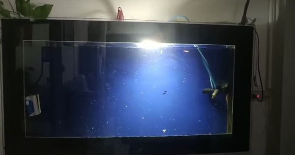 Rung lắc tại Hà Nội do dư chấn từ trận động đất tại Lào