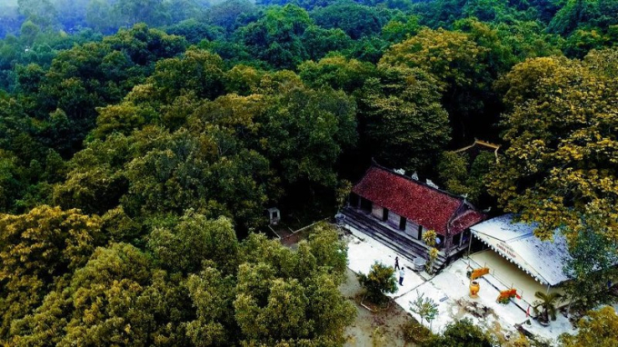 Đền Cả nằm n&eacute;p m&igrave;nh b&ecirc;n rừng lim đại ng&agrave;n.