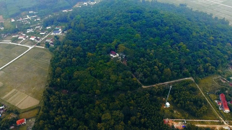 Nh&igrave;n từ tr&ecirc;n cao, khu rừng lim được bao bọc giữa d&acirc;n l&agrave;ng.