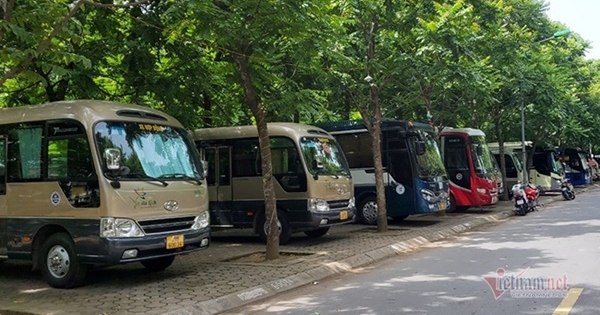 Sau 31/12, nhiều loại ô tô tiếp tục được giảm 30% phí sử dụng đường bộ