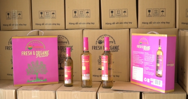 Hơn 10 nghìn chai nước giải khát dấm táo One World - Ích Khang bị tạm giữ