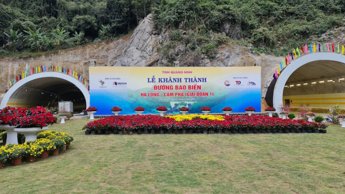 z3068733534082_204f02ebd652f2959f1d5448a3269d83