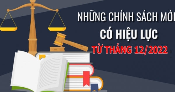 Bỏ chứng chỉ ngoại ngữ, tin học với một số viên chức