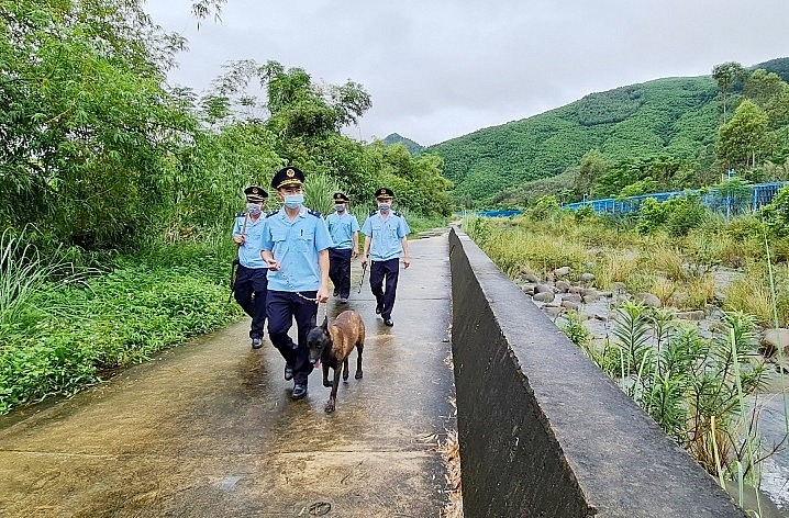 Hải quan tăng cường sử dụng và khai thác có hiệu quả chó nghiệp vụ phát hiện ma túy. Ảnh: TL