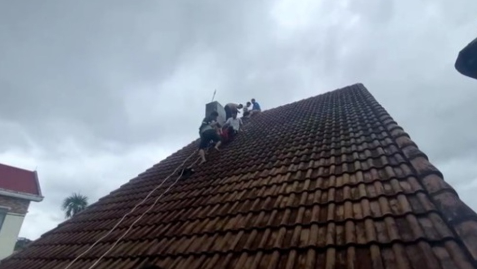 Screenshot_20221207-175941_Zalo