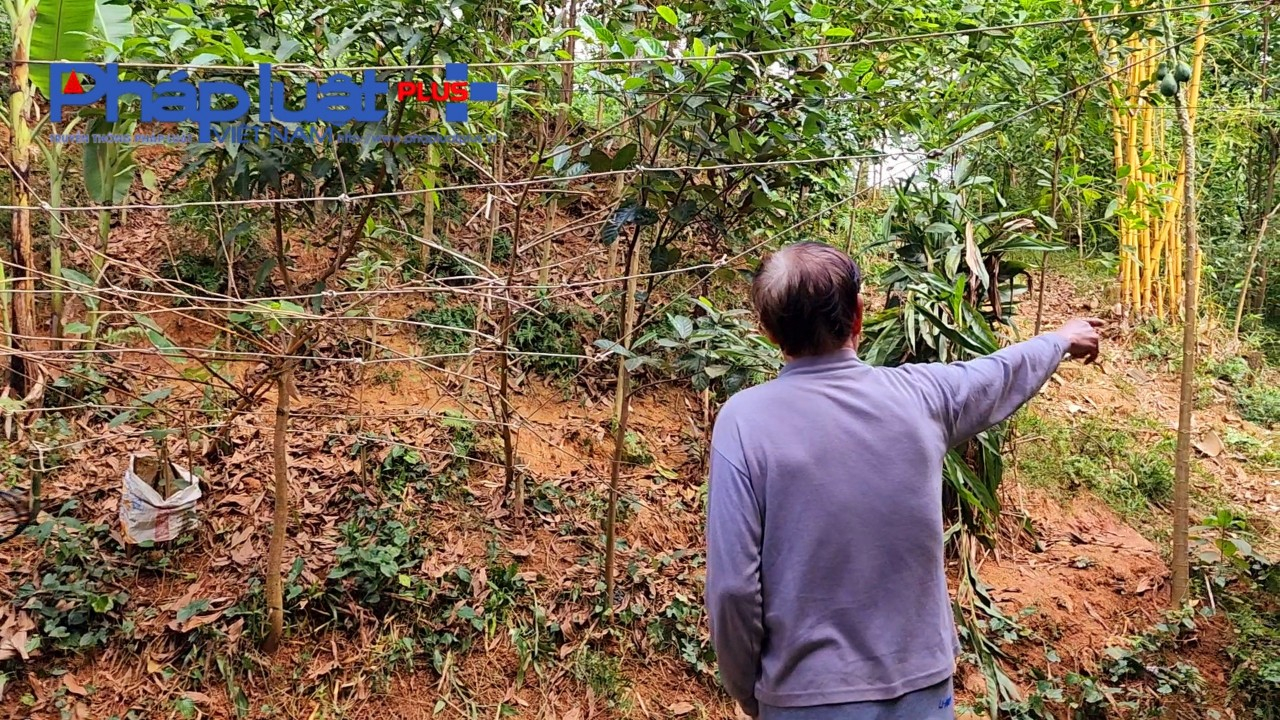 z3937023020520_18f3d69f60e796af6b685f7ed27df25d