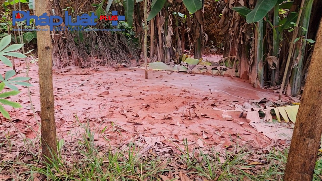 z3937506309293_14ec09fe40d2d52dd5610776e5292f46