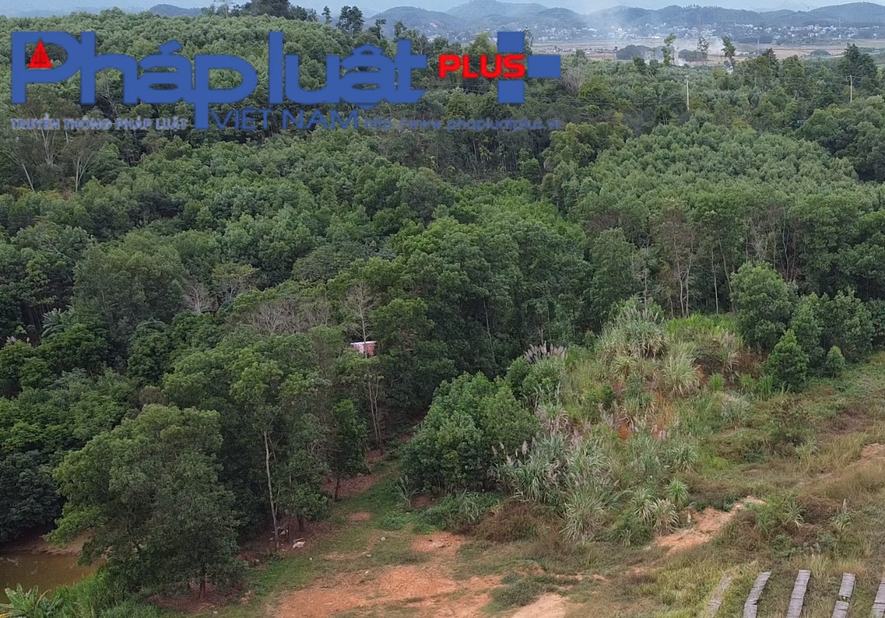 z3939831175398_1451776aceb07a36806f60c38dab9bf1