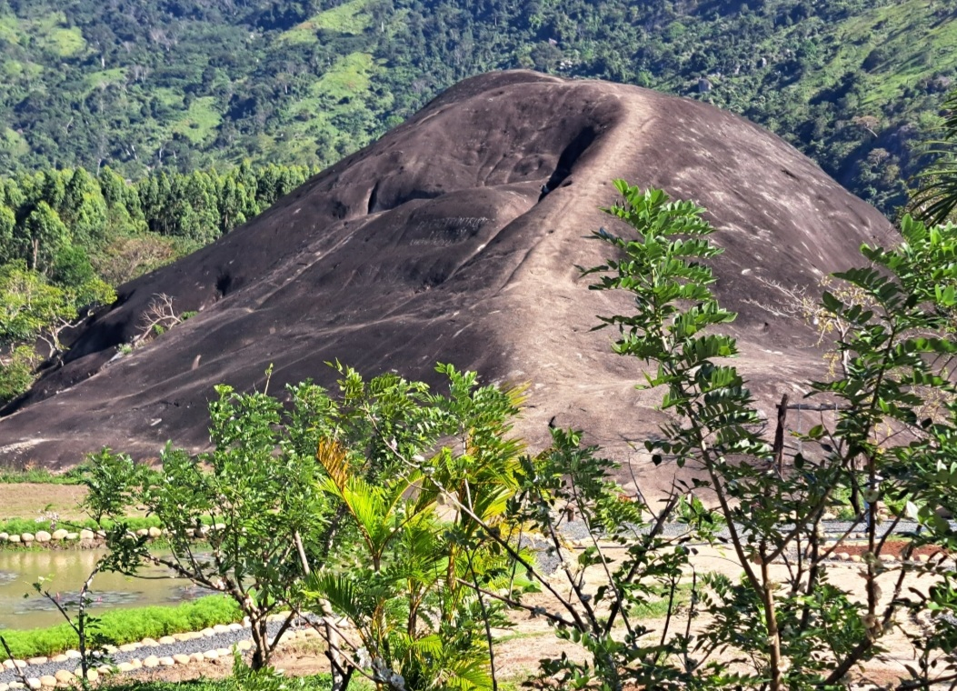 Screenshot_20221212-083938_Gallery