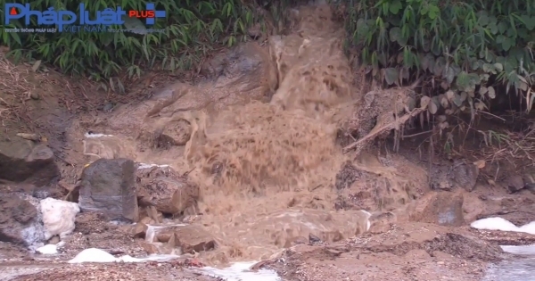 Yên Bái: Nhà máy sắn và trang trại lợn xả thải ra dòng suối Bỗng, người dân quanh vùng gồng mình gánh chịu