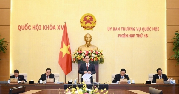 Cần tiếp tục chỉ định luật sư bảo vệ quyền và lợi ích hợp pháp cho người chưa thành niên