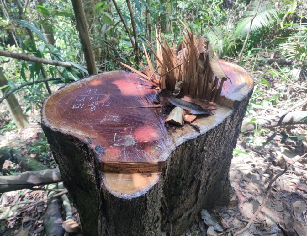 Screenshot_20221213-053916_Chrome