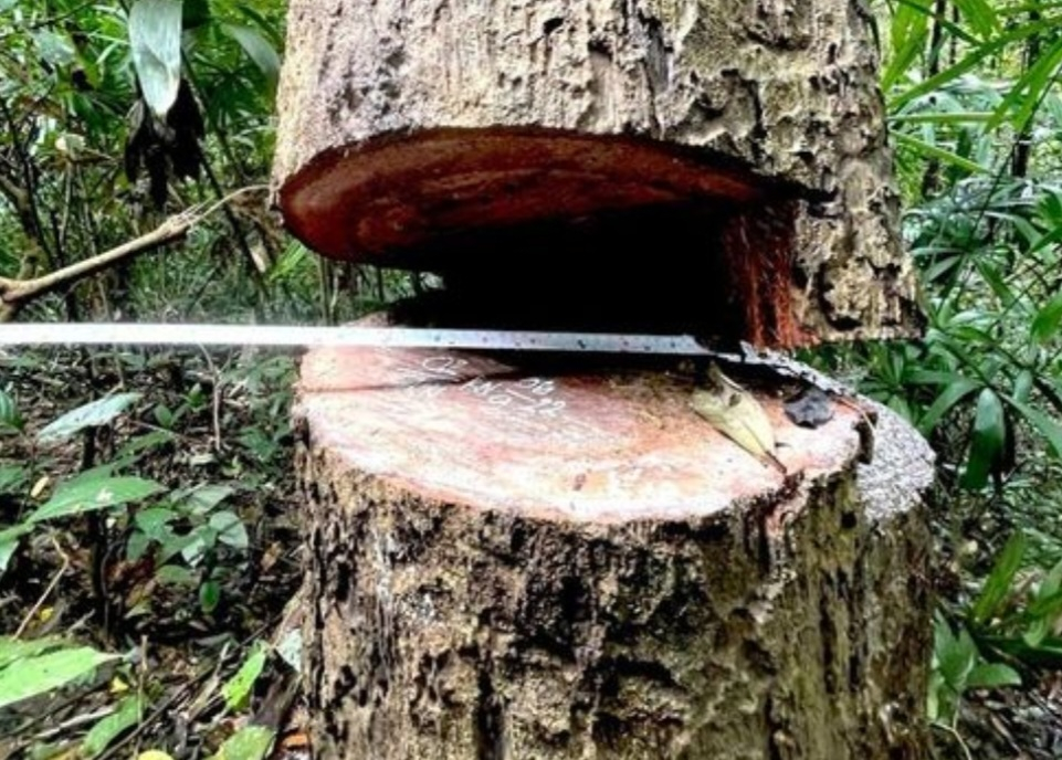 Screenshot_20221213-050516_Chrome