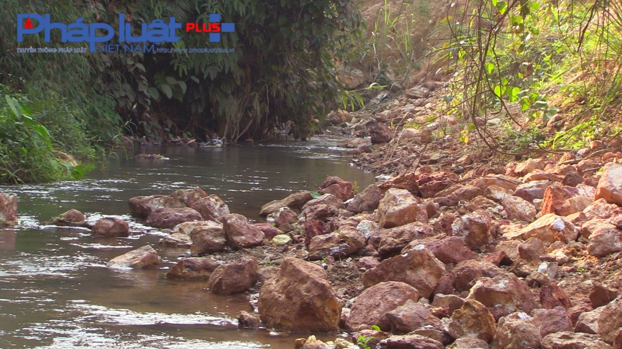 z3963493784902_914e79894d1e5ac953d0be9eaac181dc