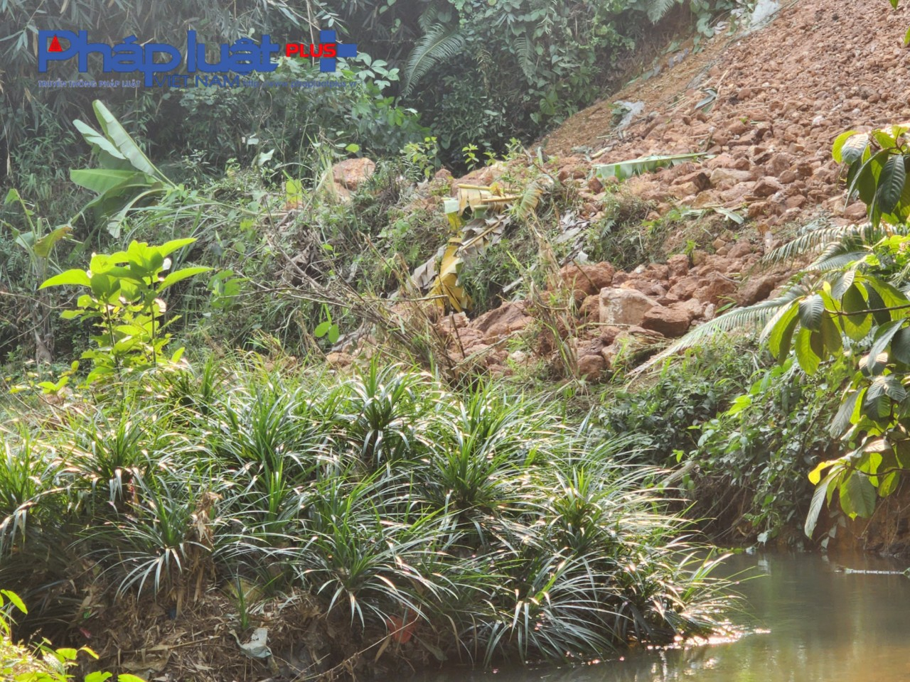 z3963449025254_8335f1f4915a8da56a6266fb3f43f9ba