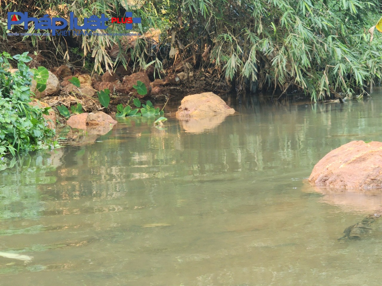 z3963449009810_333da688a15059e0b99b9474dbab1571