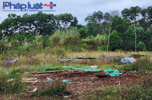 Tuy&ecirc;n Quang: Dự &aacute;n bị