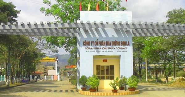 Công ty Mía đường Sơn La (SLS) bị Cục thuế Sơn La phạt và truy thu thuế