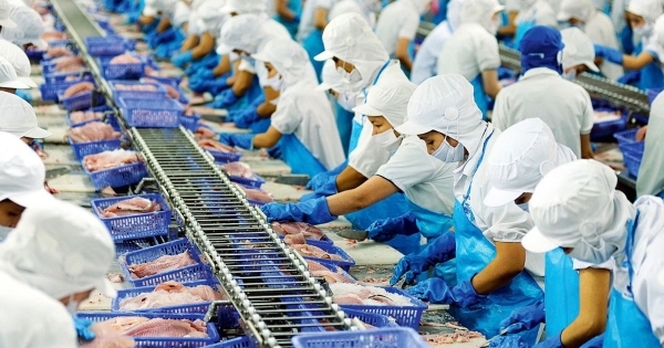 Trung Quốc mở cửa sau Covid-19, ngành hàng nào của Việt Nam sẽ hưởng lợi