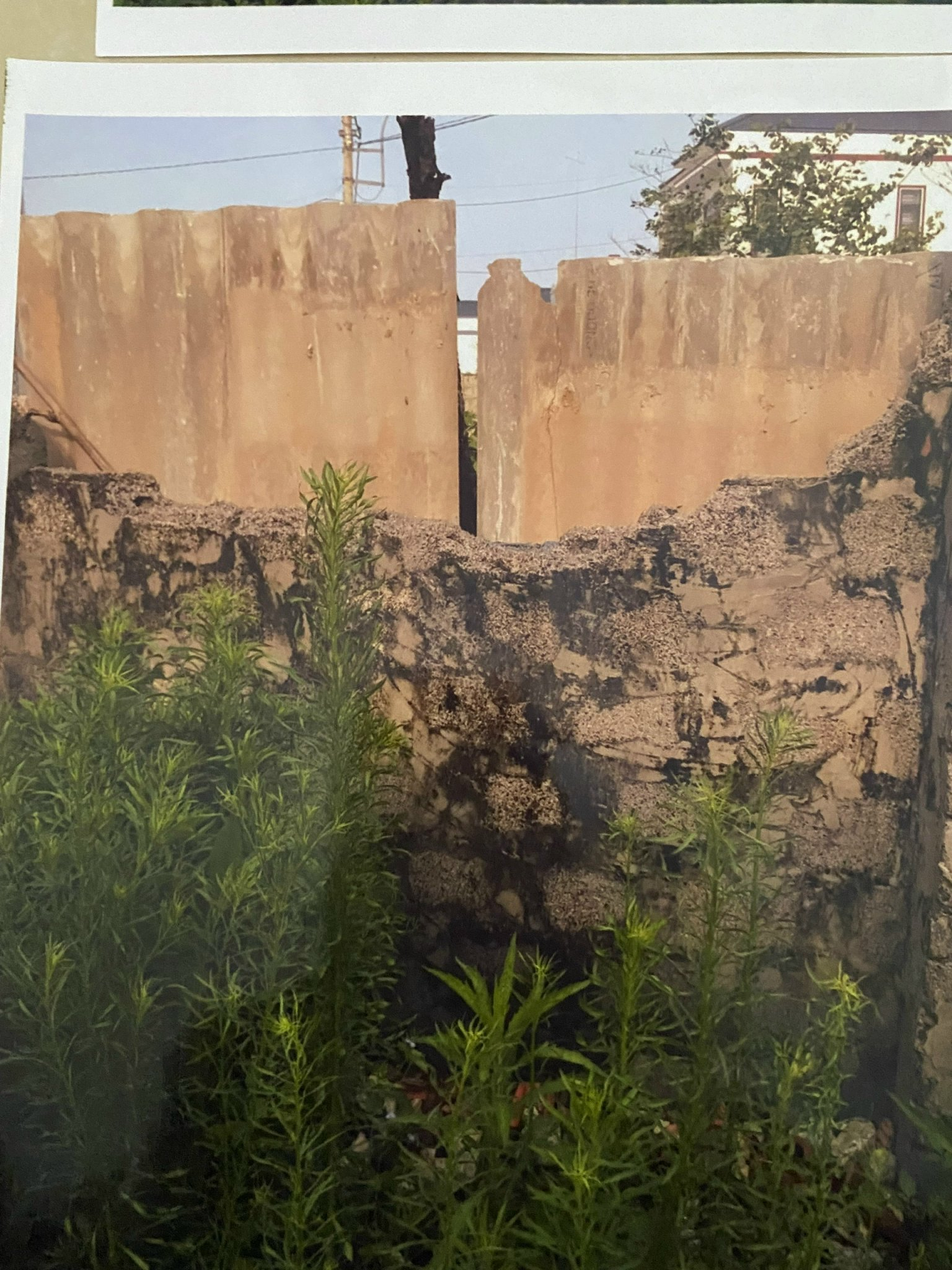 z3838999164951_433dda69fd347662b370690f085828d1