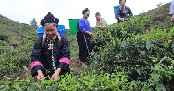 Hà Giang đầu tư hơn 100 tỷ đồng để ổn định dân cư vùng thiên tai