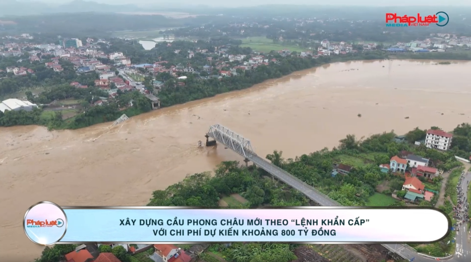 Xây dựng Cầu Phong Châu mới theo “Lệnh khẩn cấp” với dự kiến chi phí khoảng 800 tỷ đồng